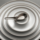 Soie Tressée Platinum Dinnerware
