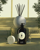 Bois Sauvage Room Spray + Candle Gift Set