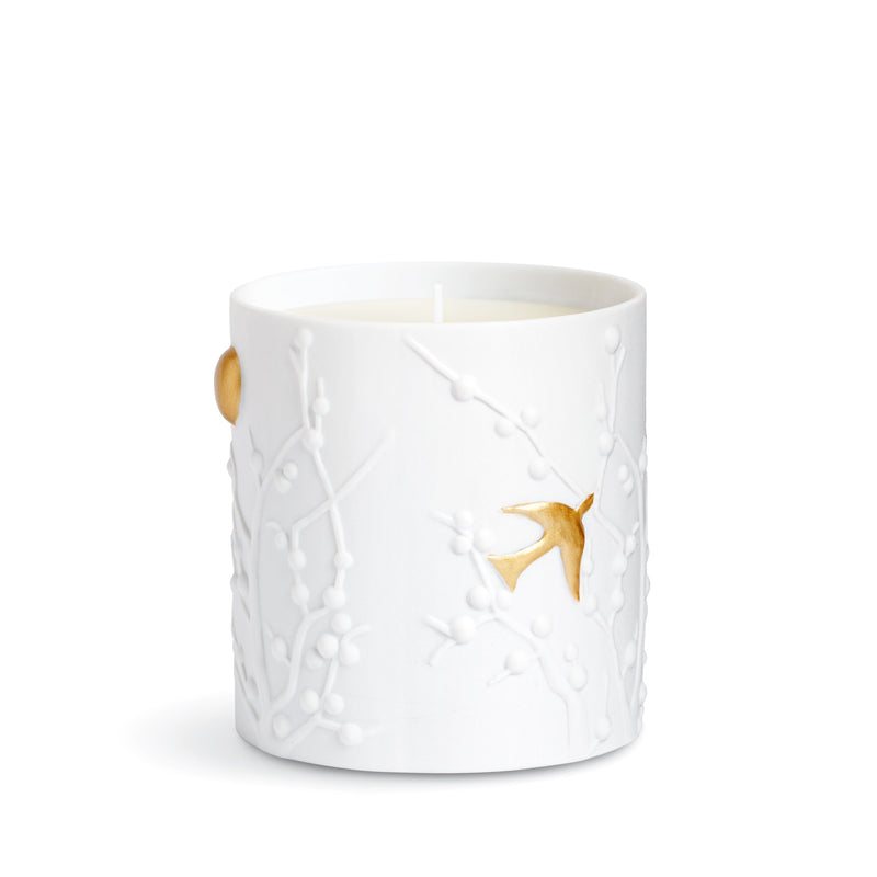 Beausoleil Candle