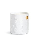 Beausoleil Candle