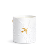 Beausoleil Candle