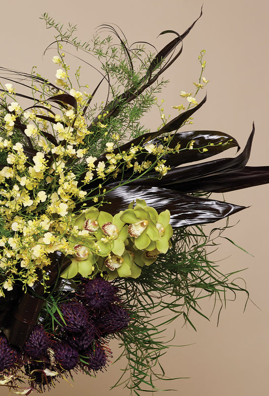 Arrangement of green and purple flowers on a beige background