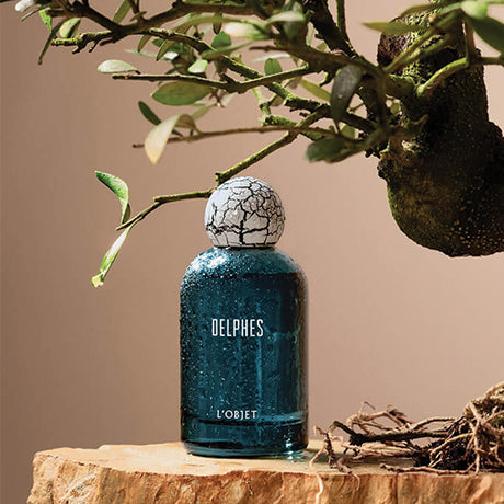 Blue perfume bottle labeled 'Delphes' on a wooden surface with greenery in the background