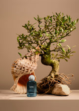 Delphes Eau de Parfum - 100ml / 3.4fl.oz