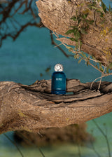 Delphes Eau de Parfum - 100ml / 3.4fl.oz