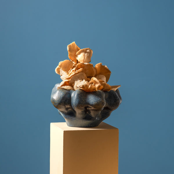 Timna Collection | Luxury Vases & Drinkware | L'OBJET