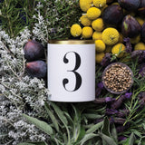 Eau d'Égée No.3 Candle