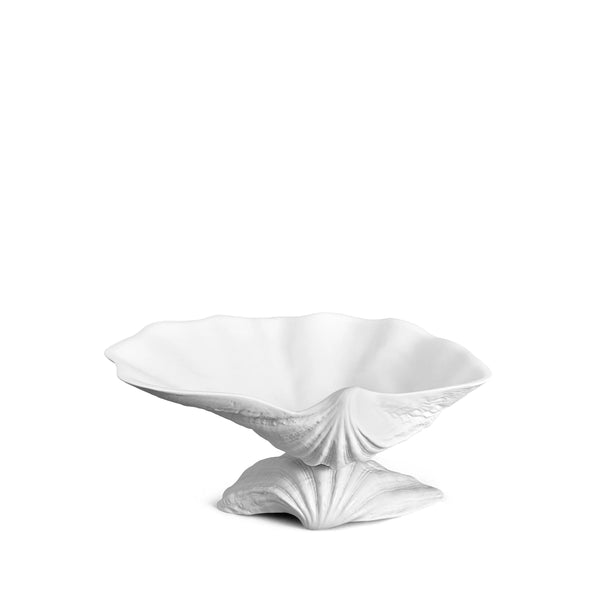 Neptune Bowl - Medium. White porcelain shell-shaped bowl floating on a base. 